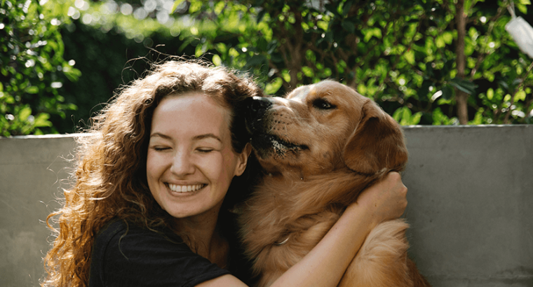 Golden Retriever puppy