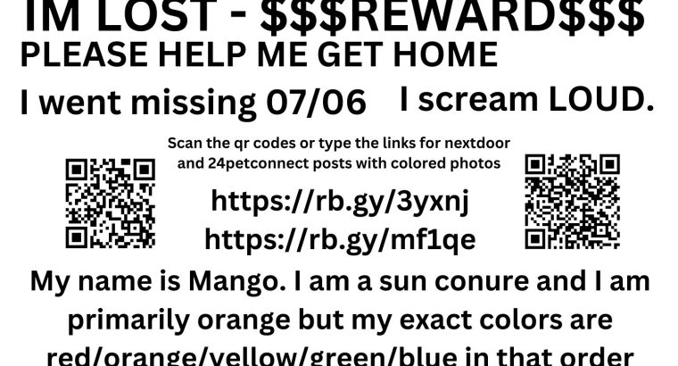 Lost Sun Conure Bird – Chino, CA “Mango”